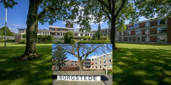 CDA stelt vragen over Borgstede