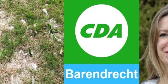 CDA: vragen over “Plastic in ‘t Park