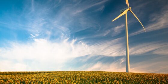 CDA stelt schriftelijke vragen over windturbines