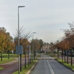Nieuwe bomen voor de Bachlaan?